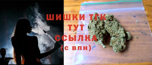ПСИЛОЦИБИНОВЫЕ ГРИБЫ Горняк