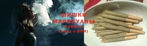 ПСИЛОЦИБИНОВЫЕ ГРИБЫ Горняк