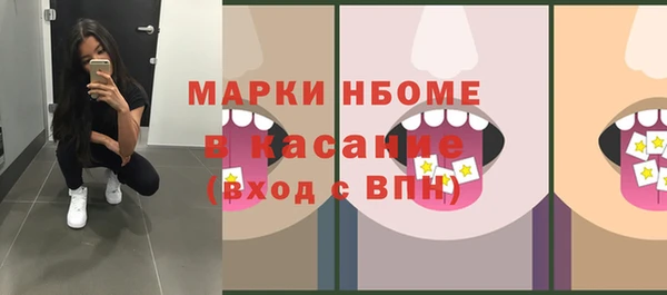 ПСИЛОЦИБИНОВЫЕ ГРИБЫ Горняк