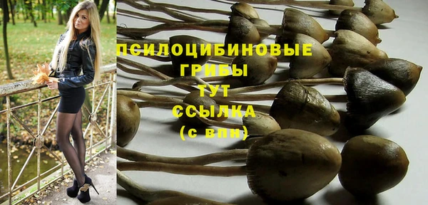 дмт Горнозаводск