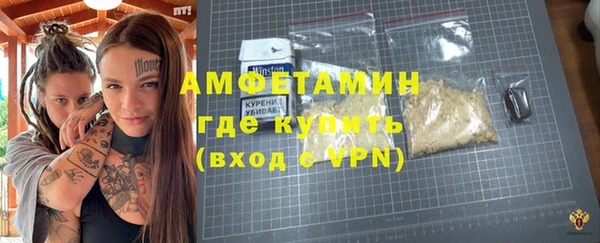 ПСИЛОЦИБИНОВЫЕ ГРИБЫ Горняк