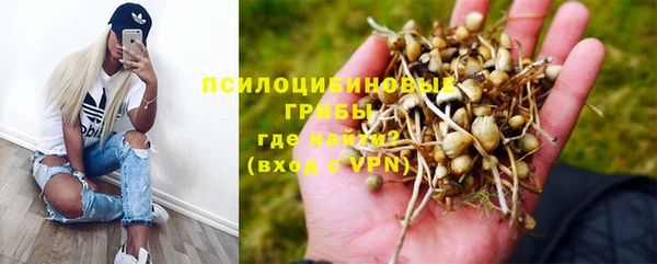 дмт Горнозаводск