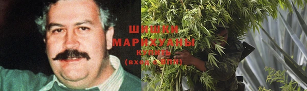 дмт Горнозаводск